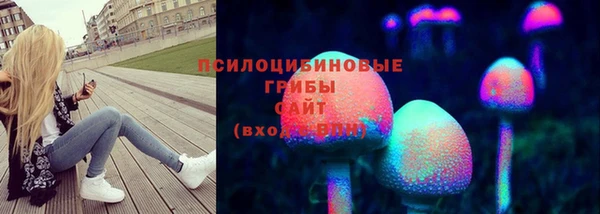PSILOCYBIN Балабаново