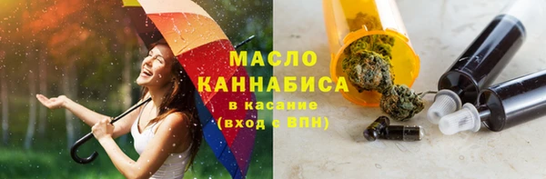 скорость Гусев