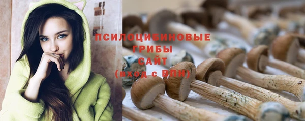 ГАЛЛЮЦИНОГЕННЫЕ ГРИБЫ Балахна