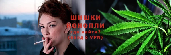 PSILOCYBIN Балабаново