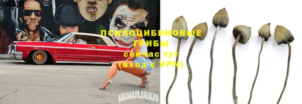 ГАЛЛЮЦИНОГЕННЫЕ ГРИБЫ Балахна