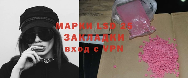 ГАЛЛЮЦИНОГЕННЫЕ ГРИБЫ Балахна