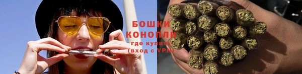 ГАЛЛЮЦИНОГЕННЫЕ ГРИБЫ Балахна