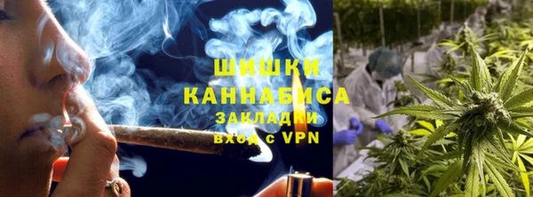 PSILOCYBIN Балабаново